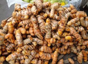 Fresh Salem Turmeric