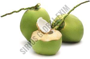 Fresh Tender Coconut