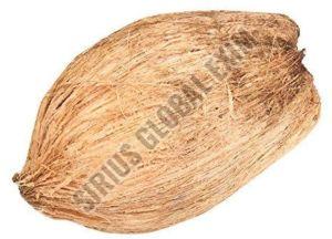 Fully Husked Coconut