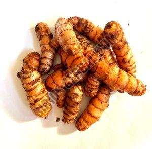 Organic Fresh Turmeric