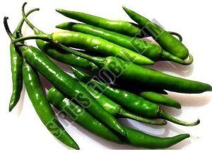Organic Green Chilli