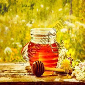 Pure Mustard Honey