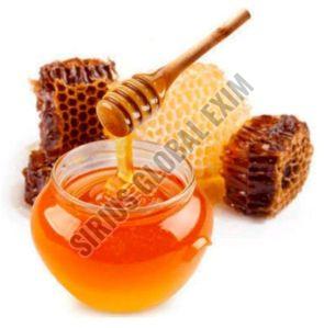 Raw Forest Honey