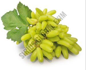 Sonaka Seedless Grapes