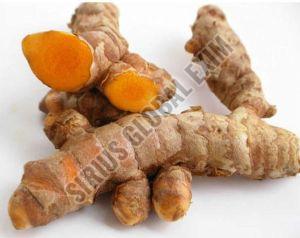 Wet Turmeric Finger