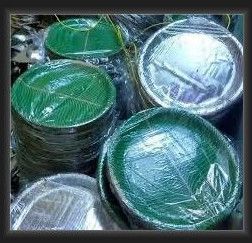 Green Disposable Paper Plate