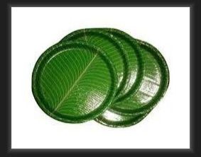 Green Disposable Paper Plate
