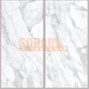 Ariston Bianco Granite Slabs