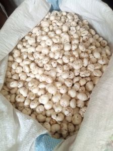 4 Suta Handpicked Phool Makhana