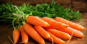 A Grade Fresh Orange Carrot