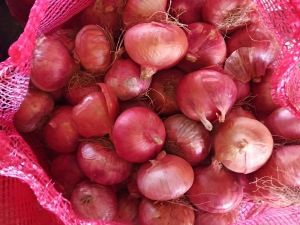 A Grade Fresh Pink Onion