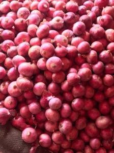 A Grade Fresh Red Onion