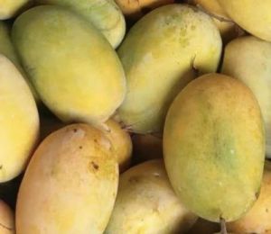 Yellow A Grade Langra Mango