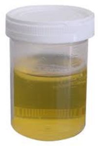Pure Gir Cow Urine