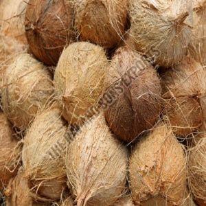 Semi Husked Coconut