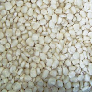 White Maize Seeds