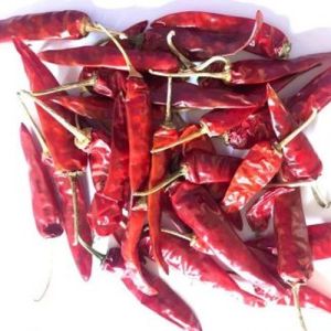 Endo 5 Dried Red Chilli