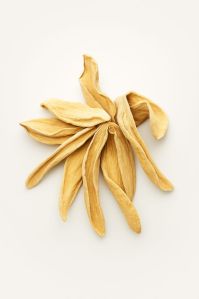 Dried Mango Slice