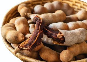 Fresh Tamarind