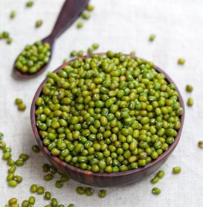 Premium Indian Moong (Green Gram) Fresh, Pure & Export-Ready Quality