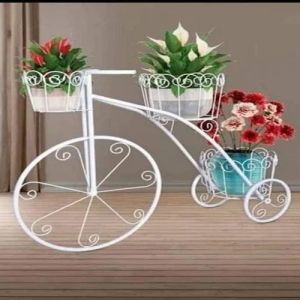 Iron Decorative Cycle