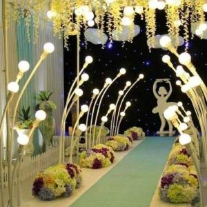 LED Bulb Door Entry Light
