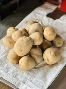 Potato