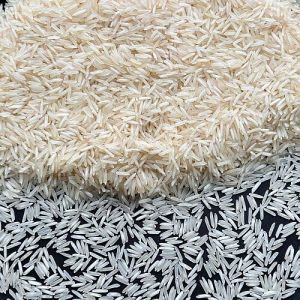 Export Quality 1401 Steam Basmati Rice
