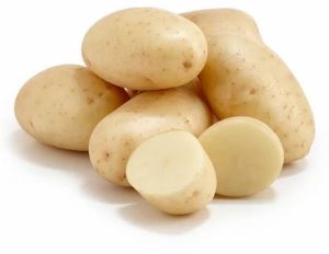 A Grade Fresh Potato