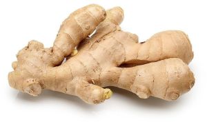 Fresh Ginger Root
