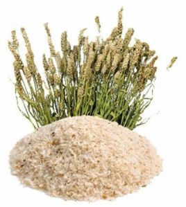 Isabgol Husk
