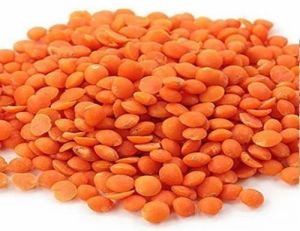 Red Lentil Masoor Dal
