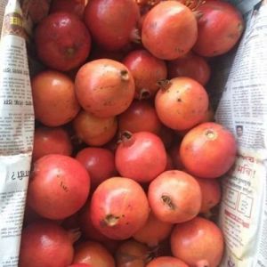 Pomegranate