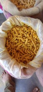 Selam Turmeric Finger