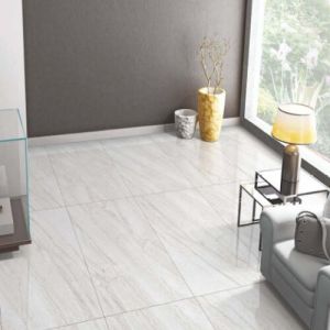 Liniar Dyna Bianco Glossy Finish Ceramic Floor Tiles
