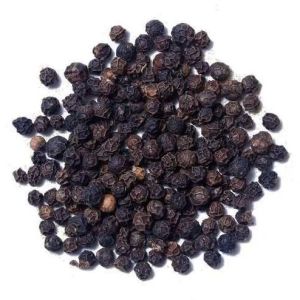 Black Pepper Seeds