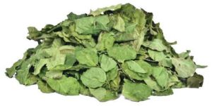 Dehydrated Drumstick Leaves