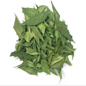 Dehydrated Neem Leaves
