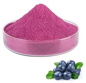 Spray Dried Blueberry Powder