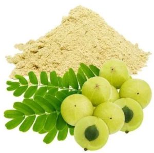 Spray Dried Gooseberry Powder