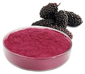 Spray Dried Mulberry Powder