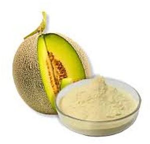 Spray Dried Muskmelon Powder