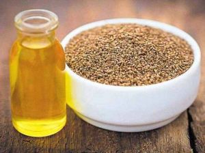 Ajwain Oil