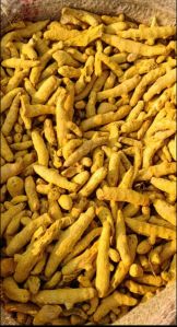 Finger Turmeric