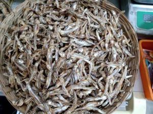 Anchovy Dry Fish