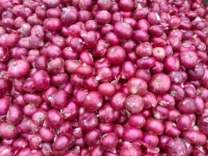 Fresh Red Onion
