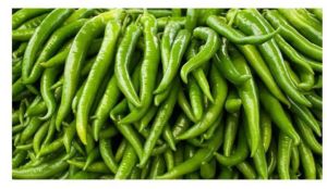 Fresh Green Chilli