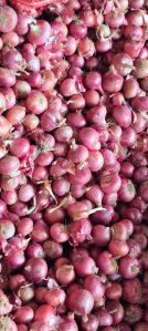 Red Onion
