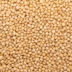 A Grade Organic Sorghum Millet