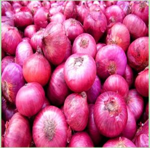 Red Onion